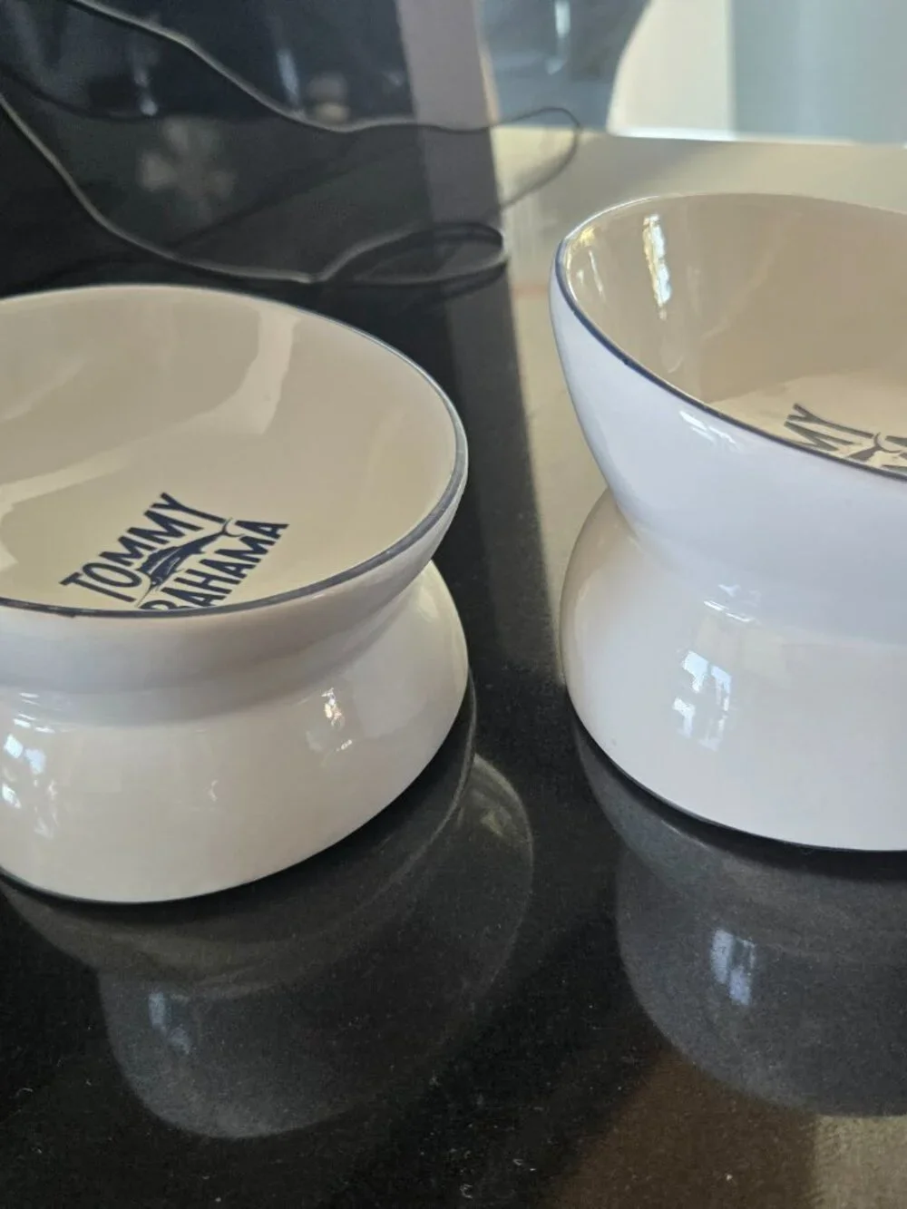 2 Tommy Bahama Pet Bowls